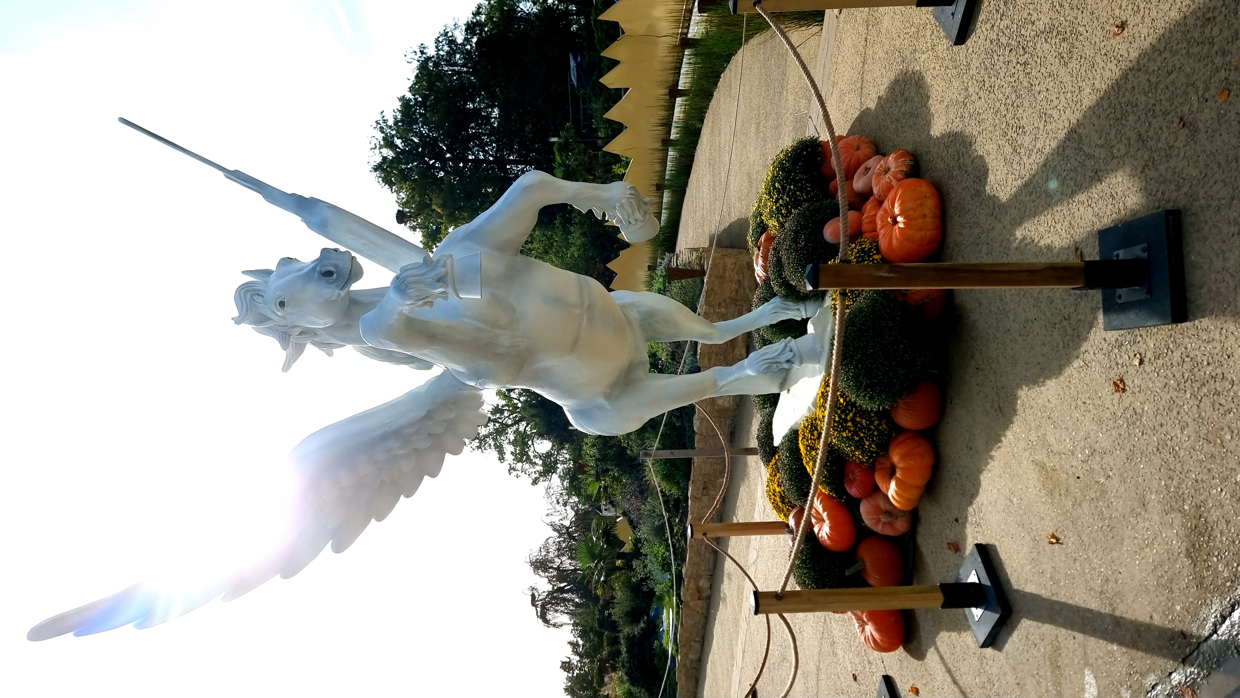 Pégase réalisé pour le parc PAIRI DAIZA