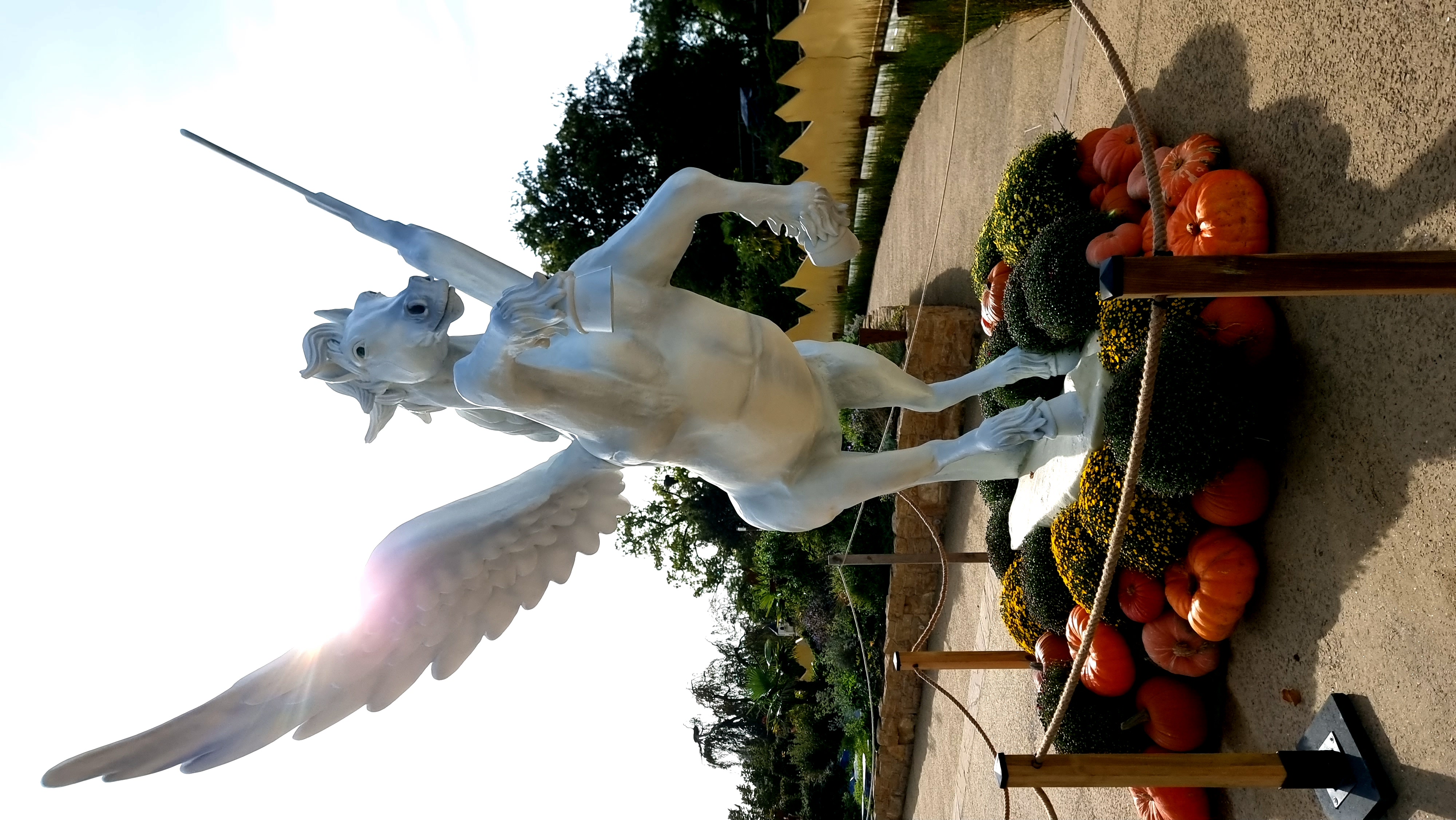 Pégase réalisé pour le parc PAIRI DAIZA