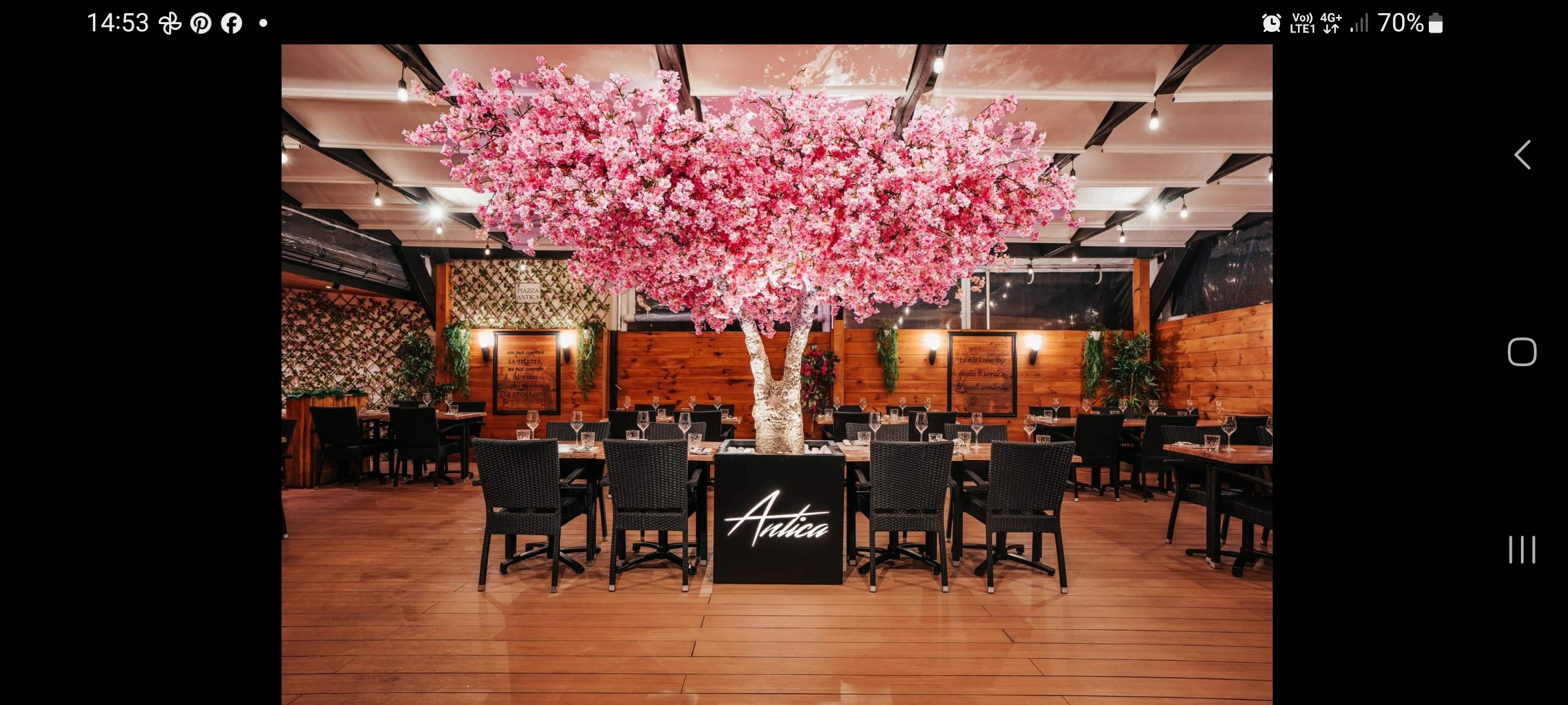 Création abre artificiel